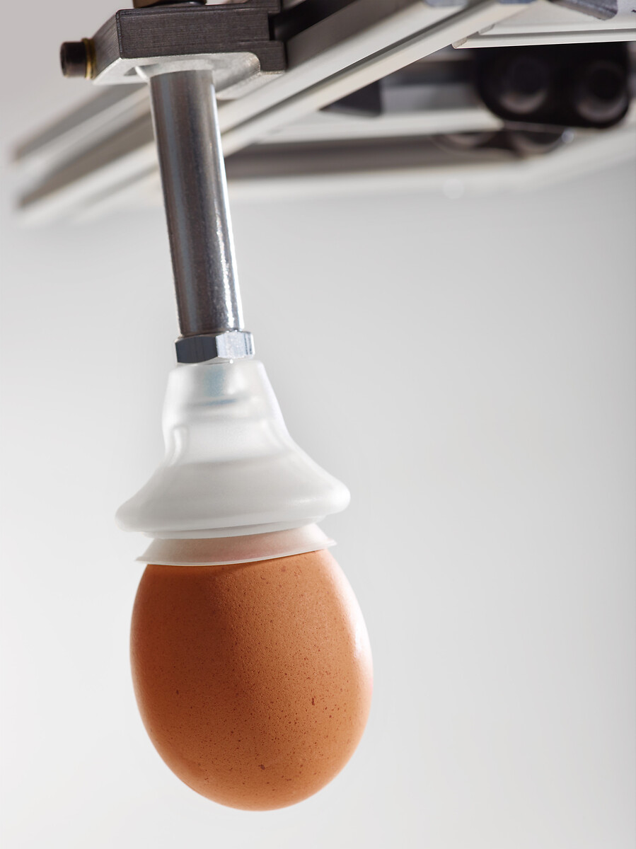 Suction Cups for Egg-Handling, VSO series - 2