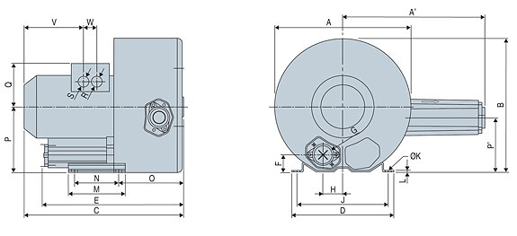 dimensionalDrawing